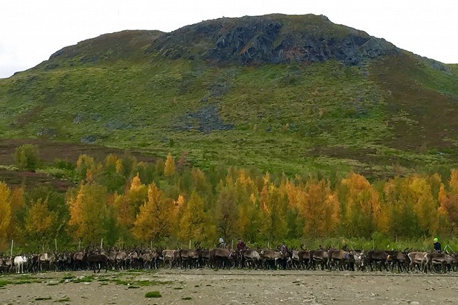 Les Samis, derniers éleveurs de rennes - Photos