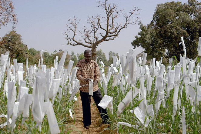 Lutter contre la sécheresse : Des réponses innovantes - Film