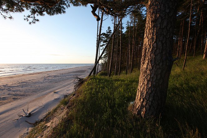Universum: Geheimnisvolles Baltikum - Wälder, Moore, wilde Küsten - Filmfotos