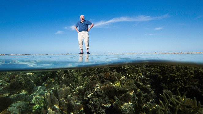Great Barrier Reef with David Attenborough - Do filme - David Attenborough