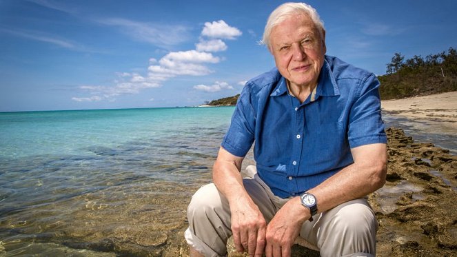 Great Barrier Reef with David Attenborough - Z filmu - David Attenborough