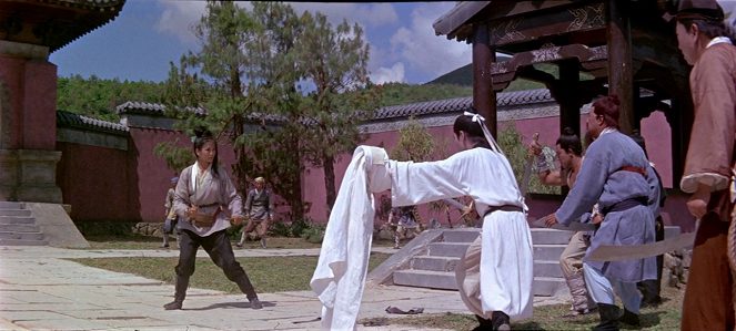 Spojení Shaolinů - Z filmu - Pei-pei Cheng