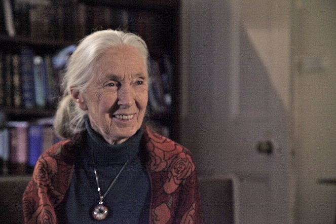 Terra X: Sternstunden der Evolution mit Dirk Steffens - De filmes - Jane Goodall