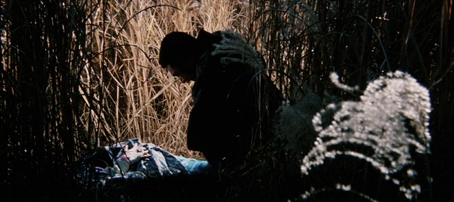Zatóiči gojótabi - De la película
