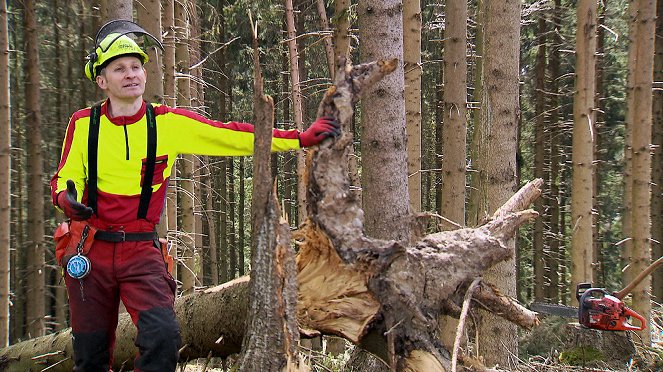 Wie man in den Wald ruft ... Beziehungsgeschichten von Mensch und Natur - Kuvat elokuvasta