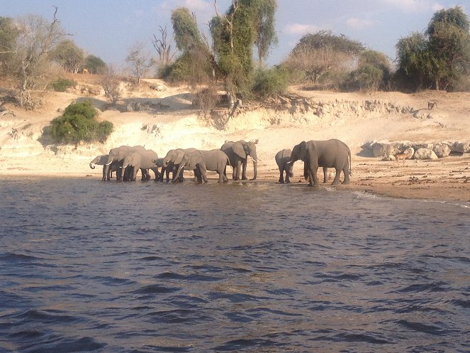 Sehnsucht, Safari, Sambesi - Wilder Fluss im Herzen Afrikas - Van film