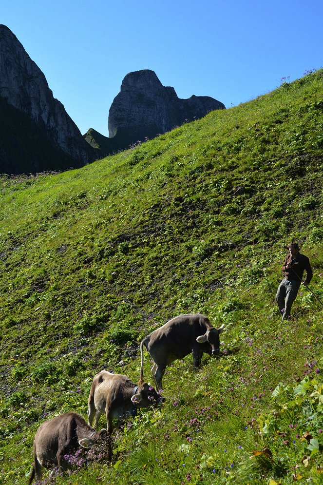 Der Traum von der Alp - Das Paradies zwischen Himmel und Erde - Photos