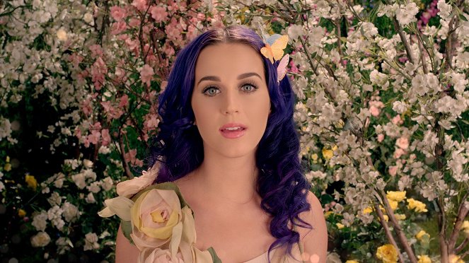 Katy Perry - Wide Awake - Film - Katy Perry