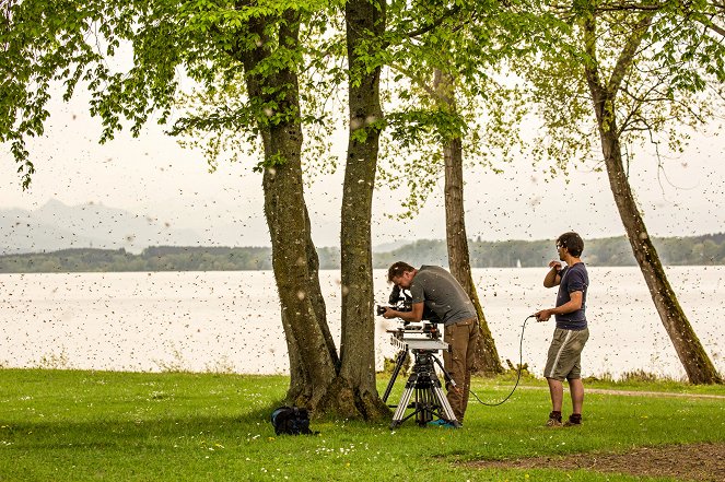 Universum: Chiemsee - Juwel der Alpen - De la película