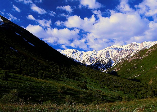 Tian Shan: Land of Bears and Horses - Filmfotók