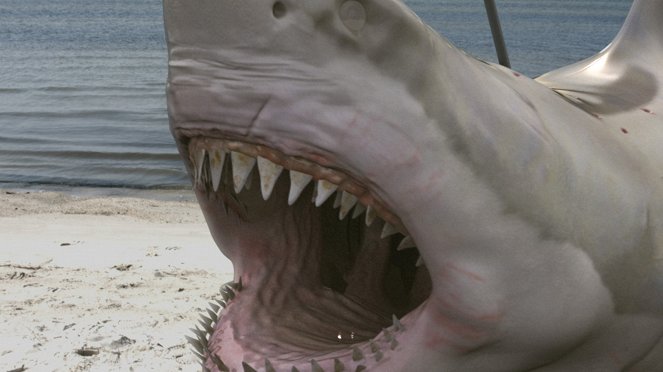 Zombie Shark - The Swimming Dead - Filmfotos