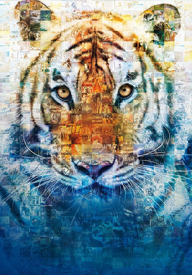 Life Of Pi - Schiffbruch mit Tiger - Werbefoto