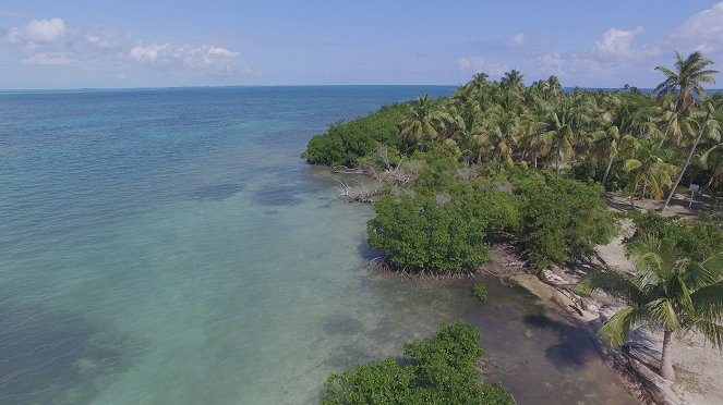 Terra X: Faszination Erde - mit Dirk Steffens: Der wahre Fluch der Karibik - Photos