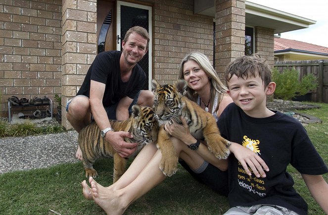 Tigers About the House - Photos