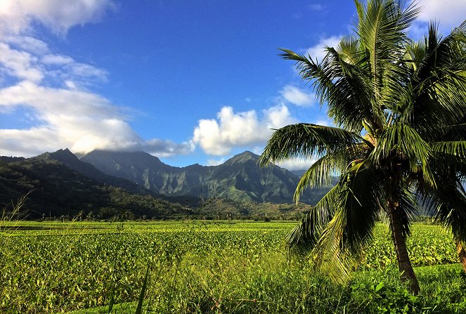 Hawaï : Retour aux sources - Film