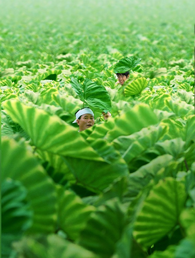 Kikujiro's Summer - Do filme - Takeshi Kitano, Yūsuke Sekiguchi