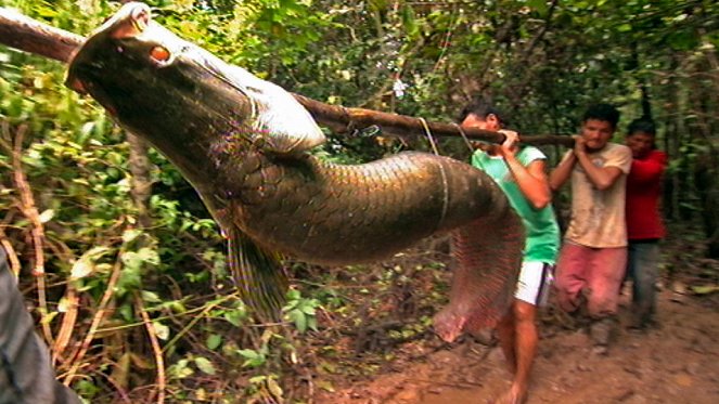In der Hängematte auf dem Amazonas - Filmfotók