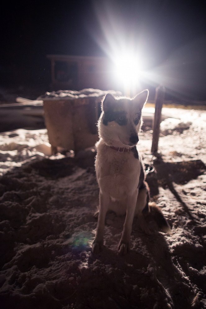 Life Below Zero - Photos