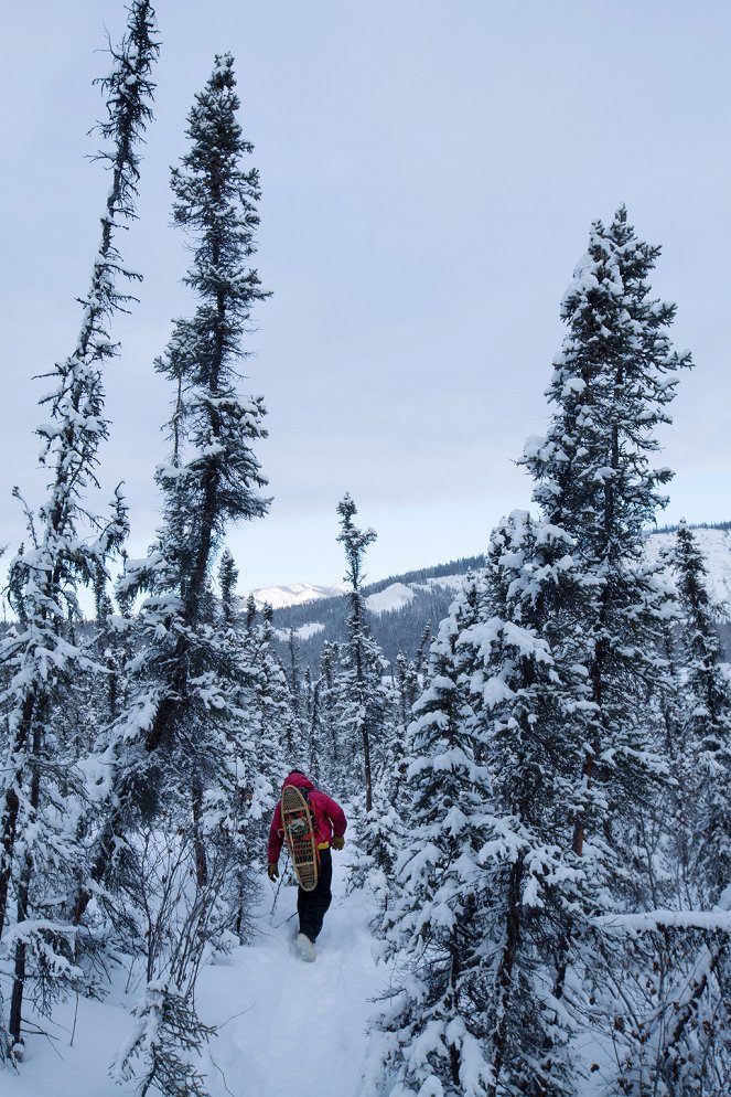 Life Below Zero - Photos