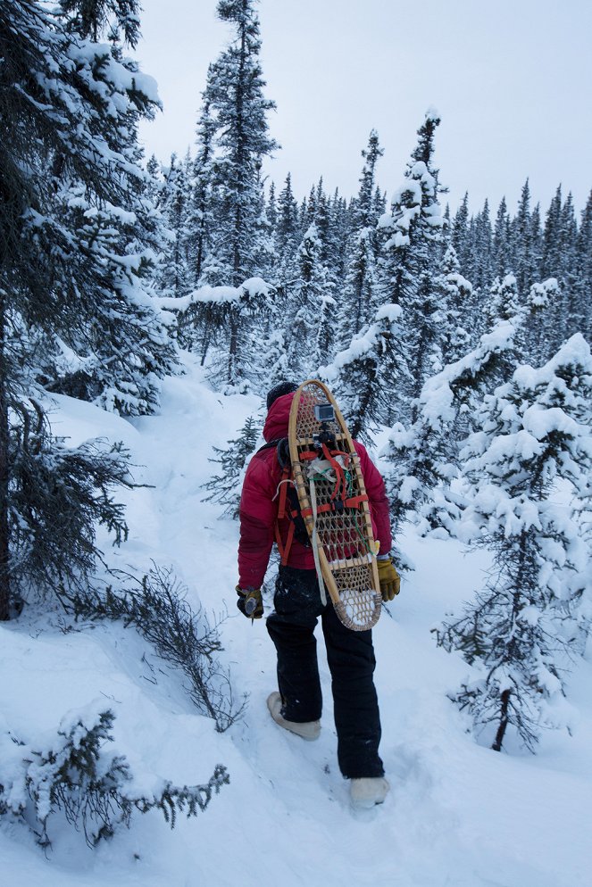 Life Below Zero - Photos