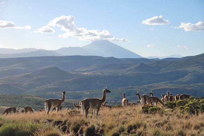 À la découverte de la Patagonie - Photos