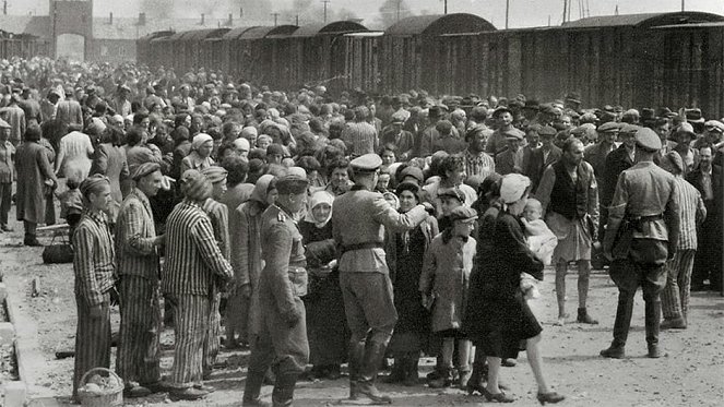 Surviving the Holocaust: Freddie Knoller's War - De filmes