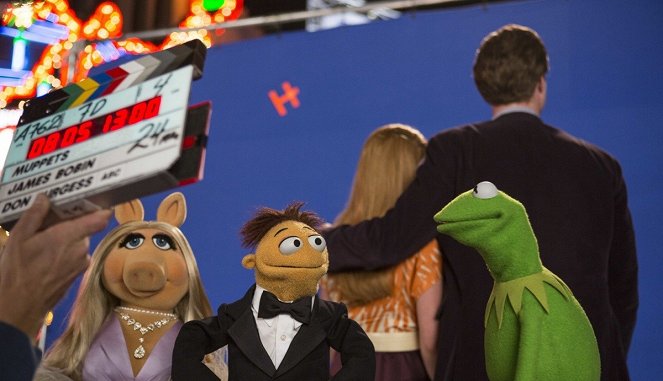 Muppety: Poza prawem - Z realizacji