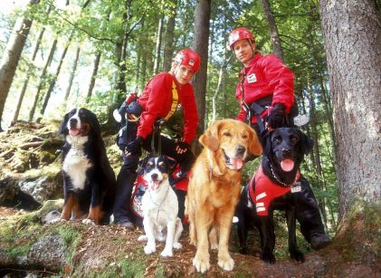 Die Rettungshunde: Hochzeitsreise in den Tod - Photos - Barbara Lanz, Nikolai Ritzkowsky