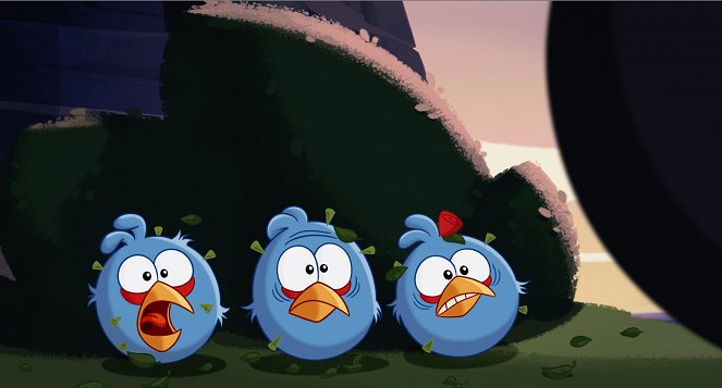 Angry Birds - Season One - Volume Two - Photos