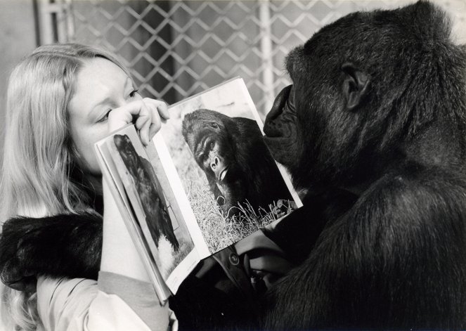 Koko, le gorille qui parle - Filmfotos - Penny Patterson