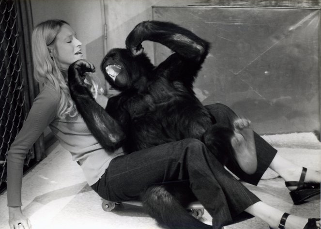Koko, le gorille qui parle - Filmfotók - Penny Patterson