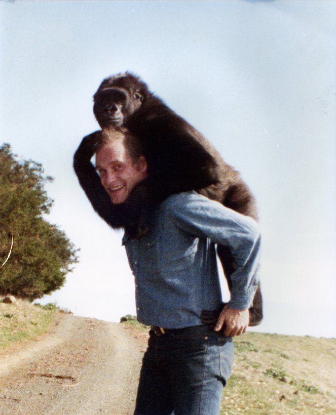Koko, le gorille qui parle - Filmfotók - Barbet Schroeder
