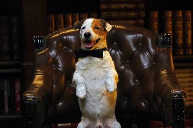 Pancho, a milliomos kutya - Filmfotók