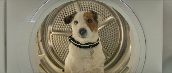 Pancho, a milliomos kutya - Filmfotók