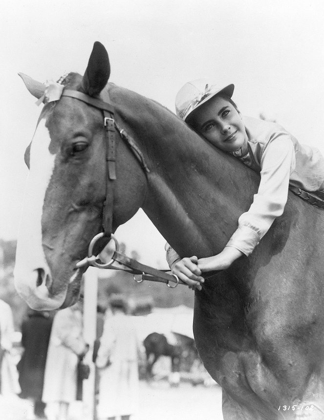 A nagy derby - Filmfotók - Elizabeth Taylor