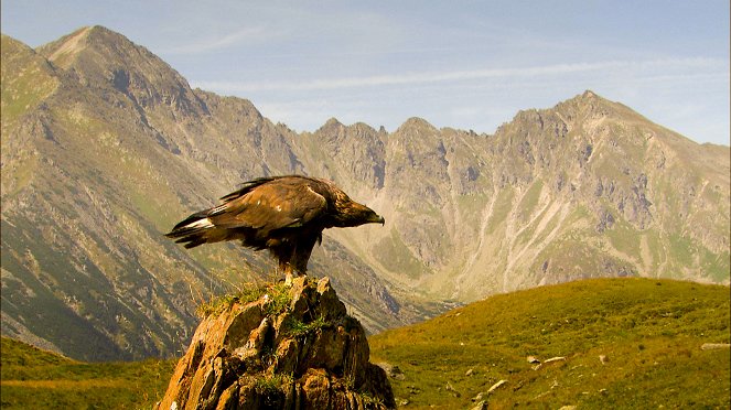 Universum: Wildnisse im Herzen Europas - Österreichs Nationalparks - De la película