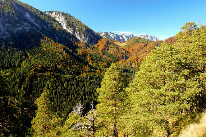 Universum: Wildnisse im Herzen Europas - Österreichs Nationalparks - Filmfotos