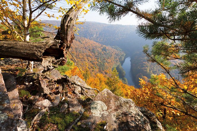 Universum: Wildnisse im Herzen Europas - Österreichs Nationalparks - Film