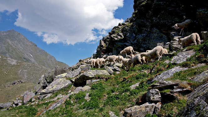Die Wiege des Alpinismus - Vom Ankogel auf die Berge der Welt - Photos