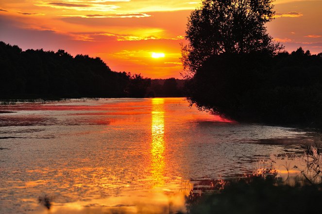 Kroatiens wilde Flusslandschaft - An den Ufern der Save - Kuvat elokuvasta