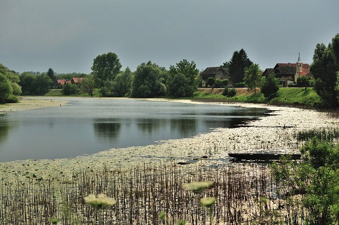 Kroatiens wilde Flusslandschaft - An den Ufern der Save - De la película