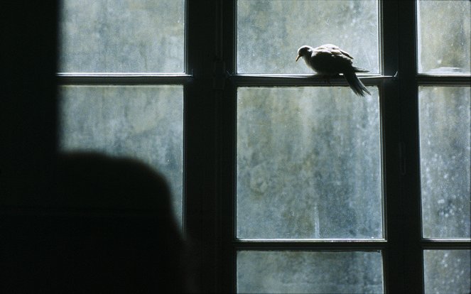 L'Oiseau - Van film
