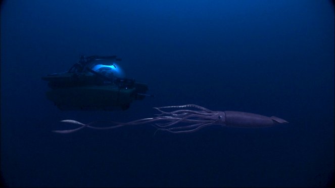 Fantôme des grands fonds - Le calamar géant - Film
