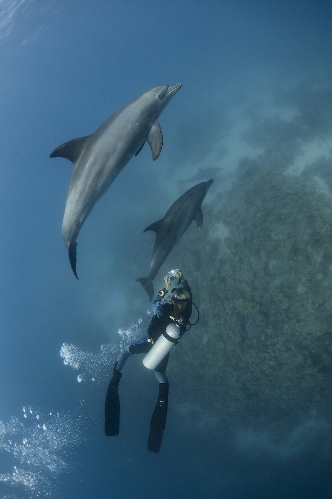 Adoptováni delfíny - Z filmu