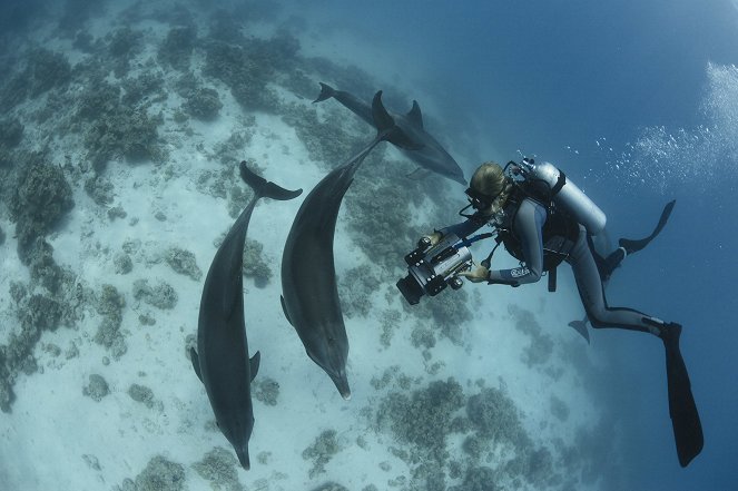 Adoptiert von Delfinen - Tümmler und ihre Familiengeheimnisse - Film