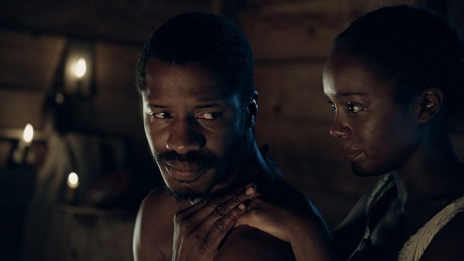 The Birth of a Nation - Van film