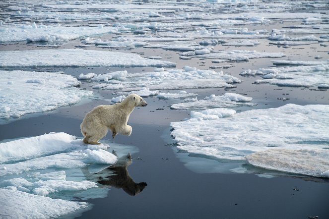 Abenteuer Erde: Auf Leben und Tod - Die Arktis - Filmfotos