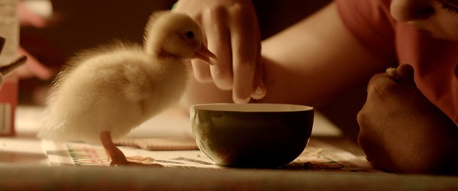 Zugvögel - Wenn Freundschaft Flügel verleiht - Filmfotos