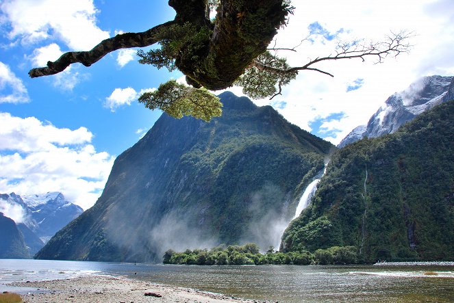Terra X: Abenteuer Neuseeland - Filmfotos
