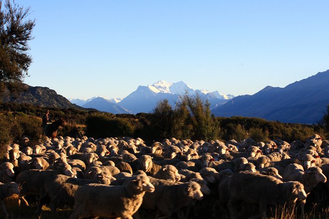 Terra X: Abenteuer Neuseeland - Filmfotos